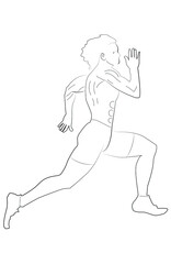 Fototapeta premium running horse vector illustration