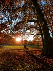 Obraz premium autumn in the city