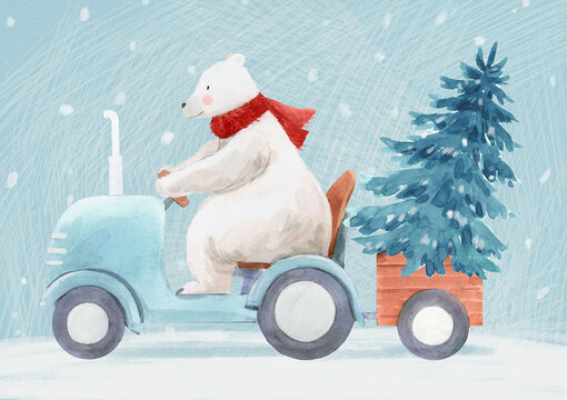 Beautiful christmas stock illustration with hand drawn watercolor cute polar bear on tractor and fir tree.