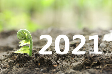 2021 New year on growing up investment. Economic and business growth in 2021. Planning and invest...