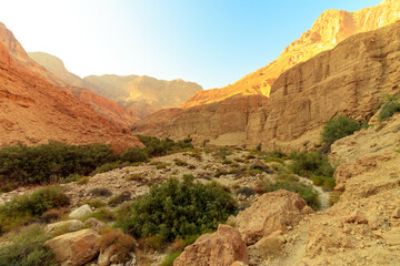 Desert mountains in Ein Gedi National Nature Reserve, Israel