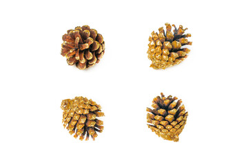 Group of pine cones isolate on white background. Top view. Flat lay