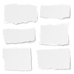Set of paper different shapes tears lying on white