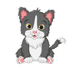 Cute kitten sitting on white background