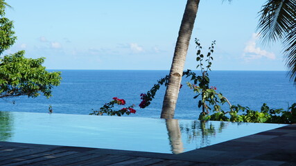 beach with palm trees