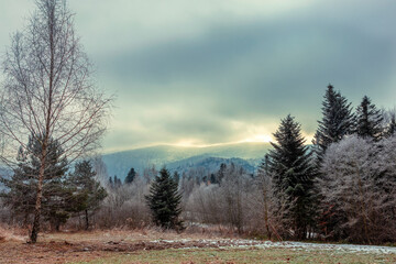 Winter nature. Winter forest covered with hoarfrost on the background of the Carpathian mountains. Winter forest landscape with unique weather conditions. Winter Carpathians.
