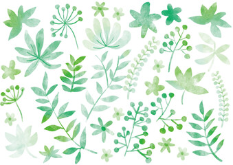 緑の葉_模様_水彩