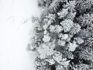 Winter landscape with forest river and snowy trees, aerial view