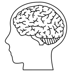 脳と頭