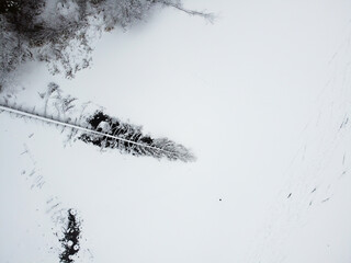Winter landscape with forest river and snowy trees, aerial view