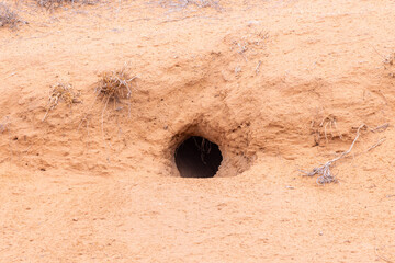 Cave, hole or burrow in the sand ground