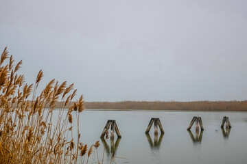 wooden structures with reed on a lake with fog in the landscape