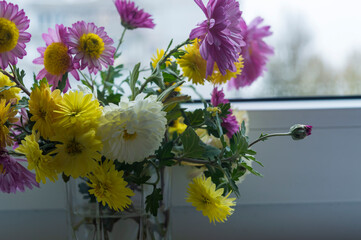 chrysanthemums white yellow pink in a glass on the window sill by the window