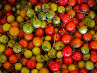 Fresh fruits with colourful color