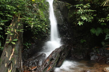 This photo is a photo of Wates Waterfall which is beautiful and clear water. the location of Pekalongan Indonesia.