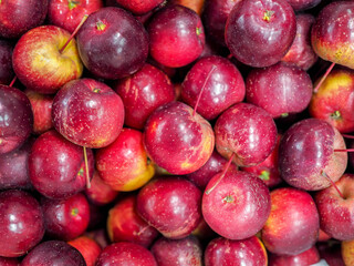 Fresh fruits with colourful color
