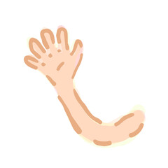 Illustration of Arm. Hand drawn vector illustration. Cute Illustrations For Kids