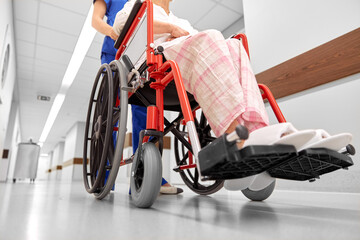 medicine, health and care concept - nurse taking senior woman patient in wheelchair at hospital...