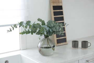 Beautiful eucalyptus branches and cups of drink on countertop in kitchen. Interior element
