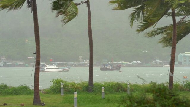 Ships in a harbor under a heavy rain and storm wind. Tropical storm concept. Contains natural sound