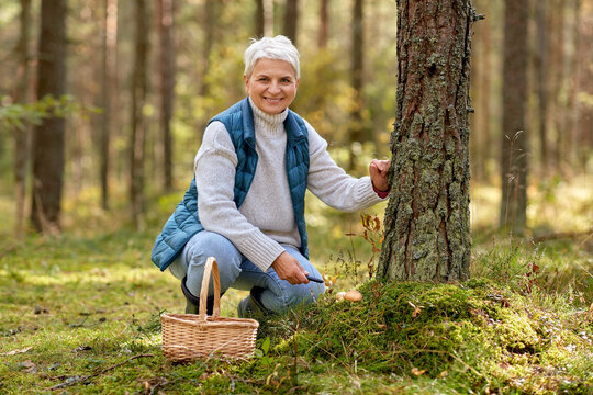 picking season, leisure and people concept - senior woman with basket and mushrooms in autumn forest - Powered by Adobe