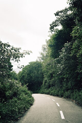 road in the woods