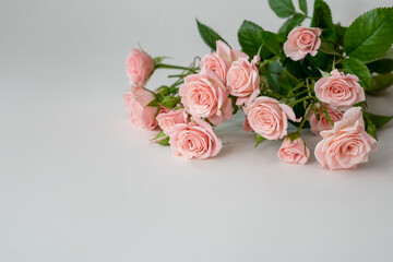 delicate bouquet of pink roses on light background
