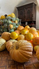 pumpkins and gourds