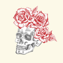 Hand drawn sketch human skull with wreath of flowers. Red roses Funny character Black graphic Engraving art isolated on white background. Vintage style. Vector illustration