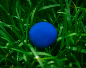 easter eggs in grass
