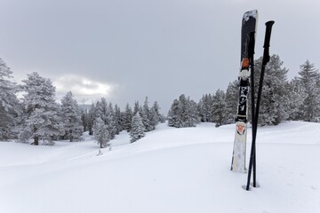 Ski equipment in the snow on snowy slopes