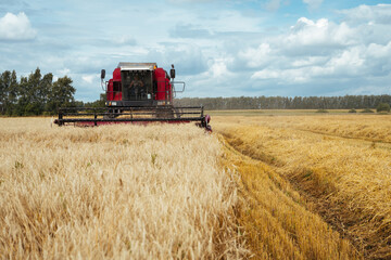 Combine harvester harvests ripe wheat. Concept of a rich harvest. Agriculture image