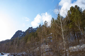 View of the snow-capped mountains and forest