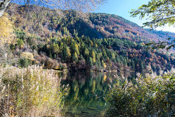 Fototapeta na wymiar landscape with trees in mountain