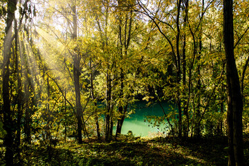 sun rays in the forest and Brenta river
