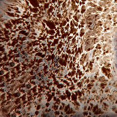 Abstract water color effect texture on paper for background