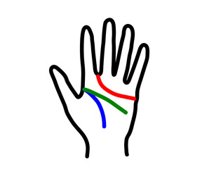 Hand and lines on the palm on a white background. Silhouette. Vector illustration. 