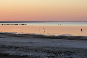 Salt lake near Evpatoria in Crimea in the evening light