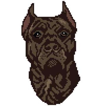 The silhouette of a brown dog breed Staffordshire Terrier is a face, the head is drawn in the form of squares, pixels. Image of a portrait of a brown breed Staffordshire Terrier. Vector illustration