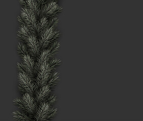 Green fir branches line on dark grey background.