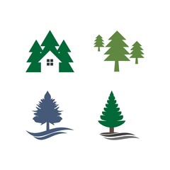 Obraz premium pine tree christmas