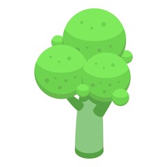 Healthy brocoli icon. Isometric of healthy brocoli vector icon for web design isolated on white background