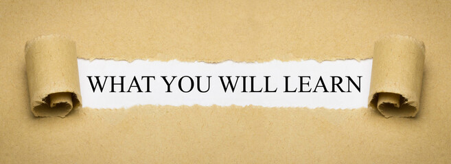What you will learn
