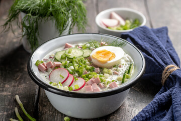 Okroshka. A traditional dish of Russian cuisine.