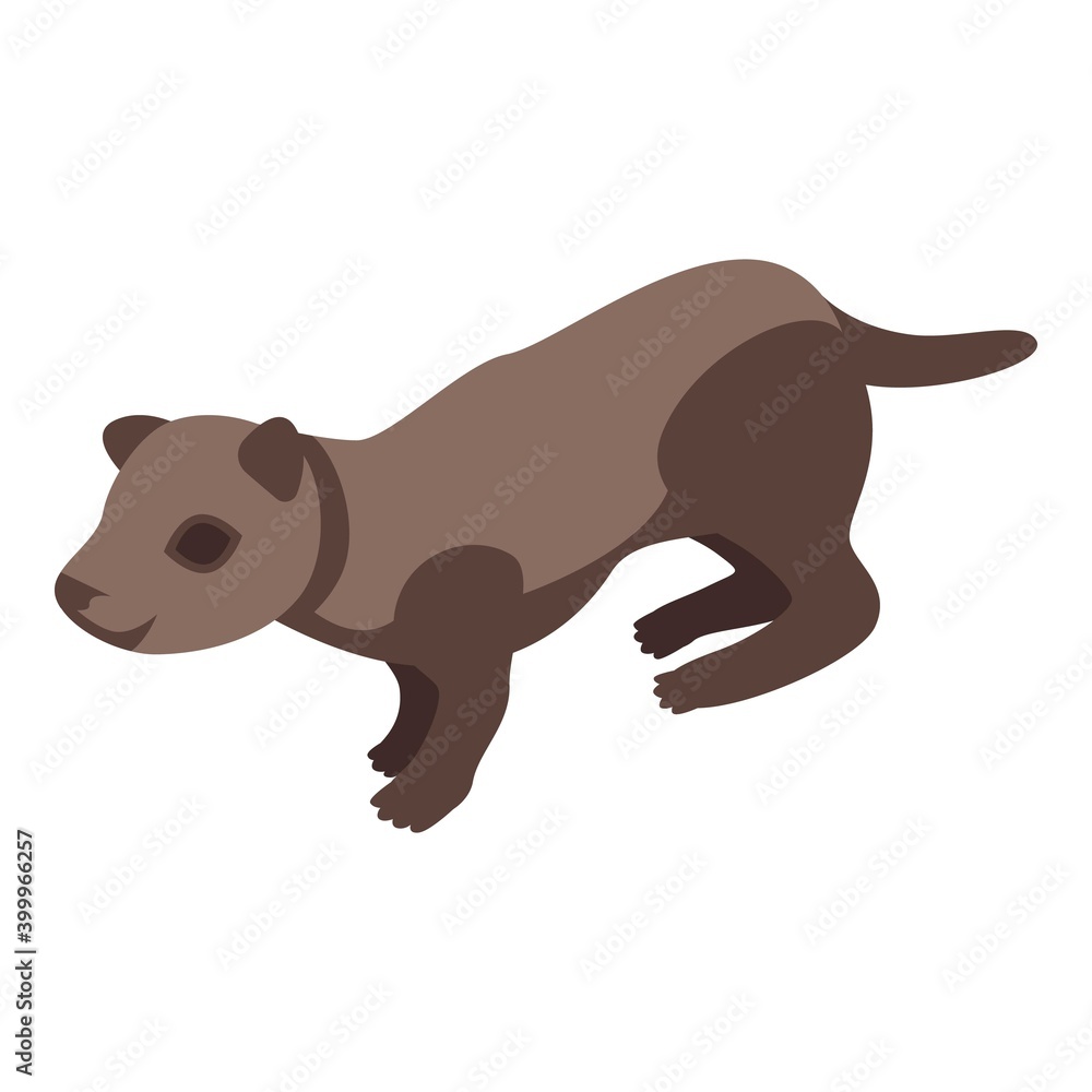 Poster mink icon. isometric of mink vector icon for web design isolated on white background