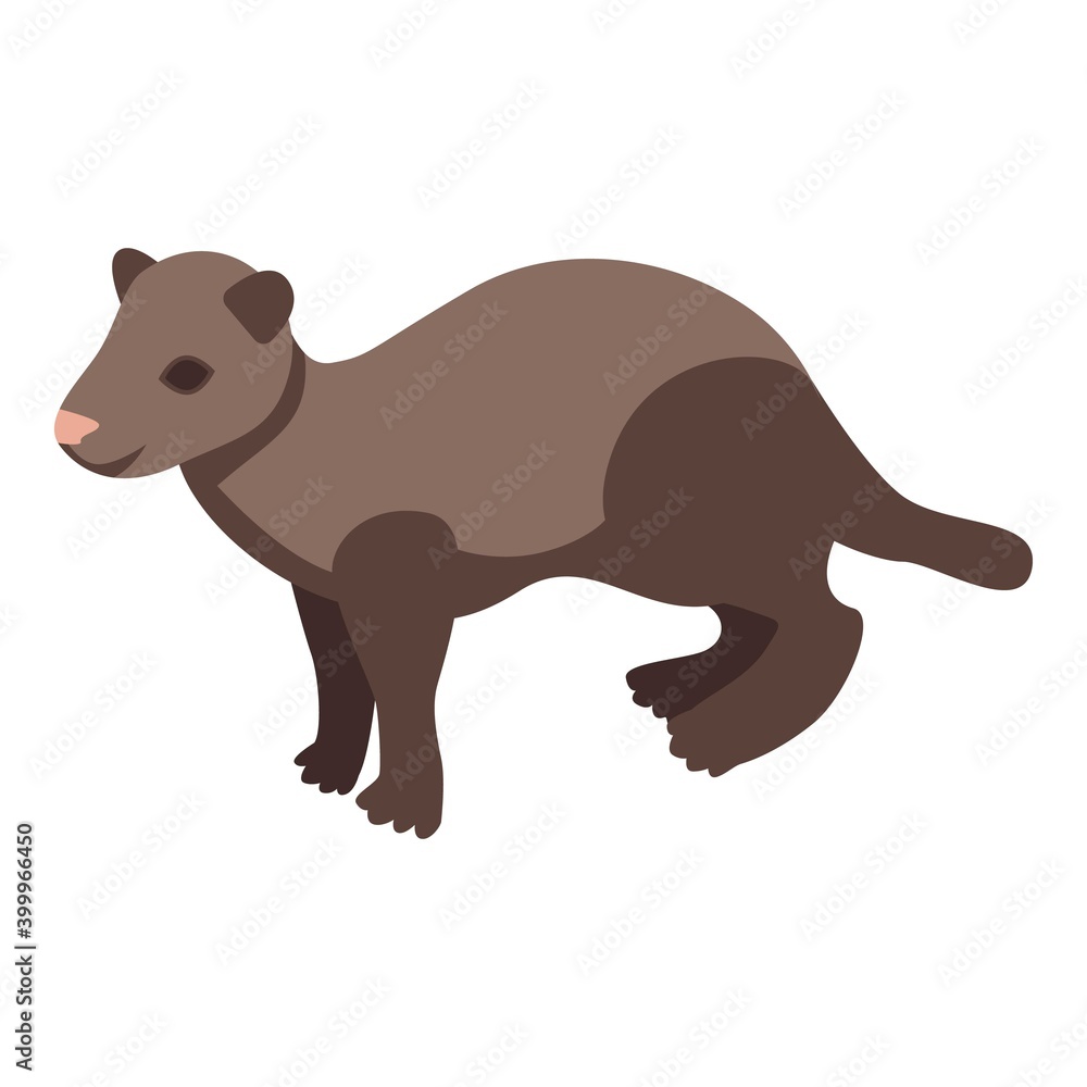 Poster zoo mink icon. isometric of zoo mink vector icon for web design isolated on white background