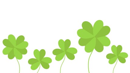 4k Clover plant animated video. 