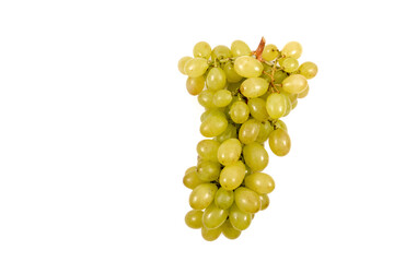 White table grape, bunch isolated on white background, text space