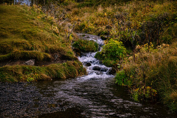 Fototapeta premium waterfall in the forest