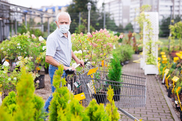 mature Caucasian male retired in medical mask protecting from the virus buying plant for home garden in store